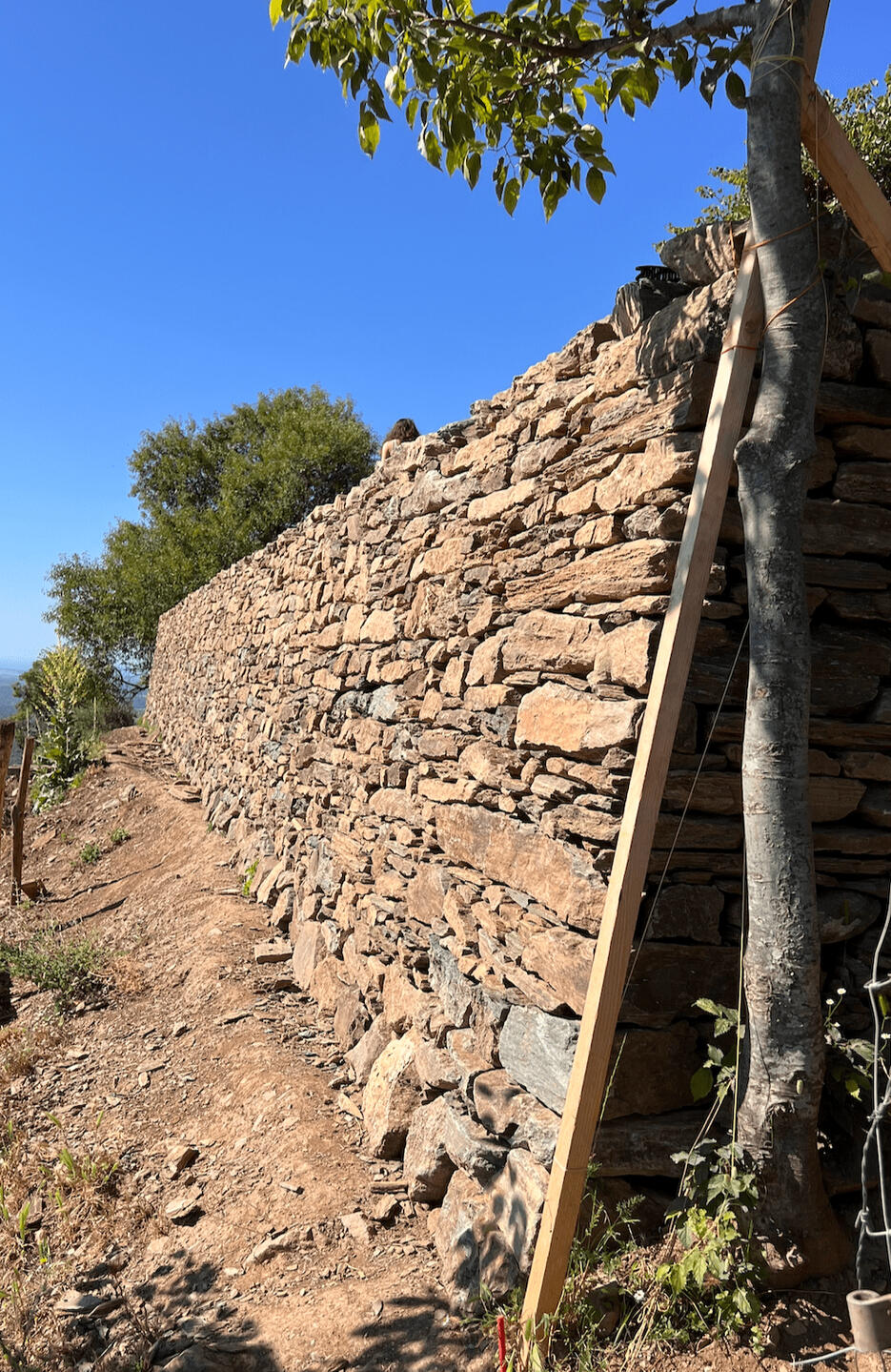 Paysagiste en Corse – création et entretien de jardins, murs en pierres sèches, maçonnerie paysagère, plantations méditerranéennes, enduits à la chaux. Interventions à Bastia, Pietranera, Miomo, Biguglia, Borgo, Lucciana, Casamozza, Île-Rousse, Lumio, Cort
